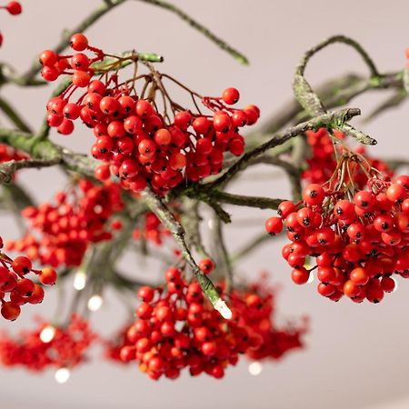 Herbarium Boutique Hotel أولوموك المظهر الخارجي الصورة